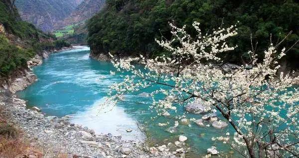 勇士吹泡泡